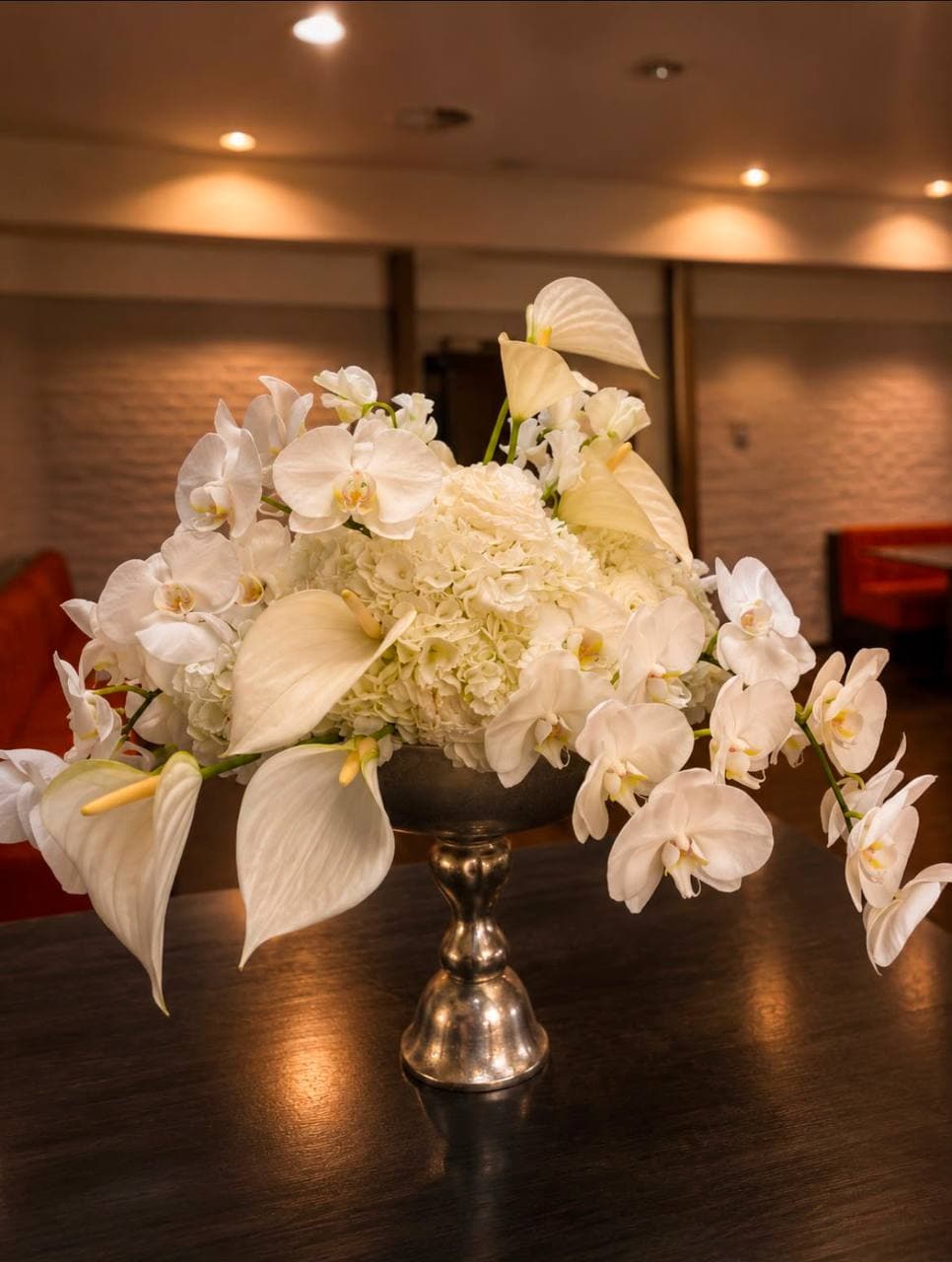 Klassieke witte orchidee