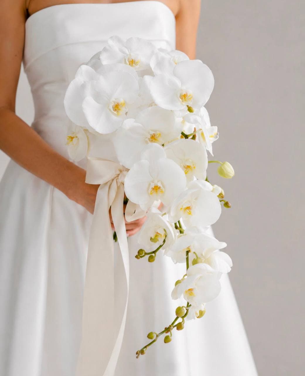 Orchidee Cascade